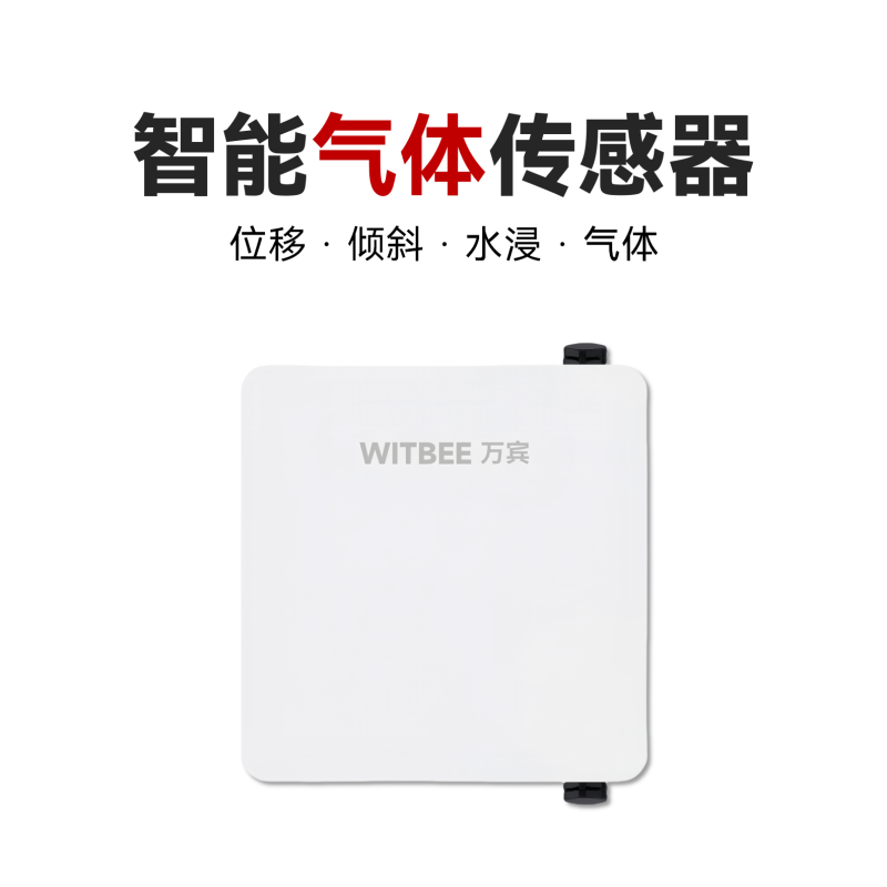 智能氣體監(jiān)測(cè)儀<br>EN100-C-G