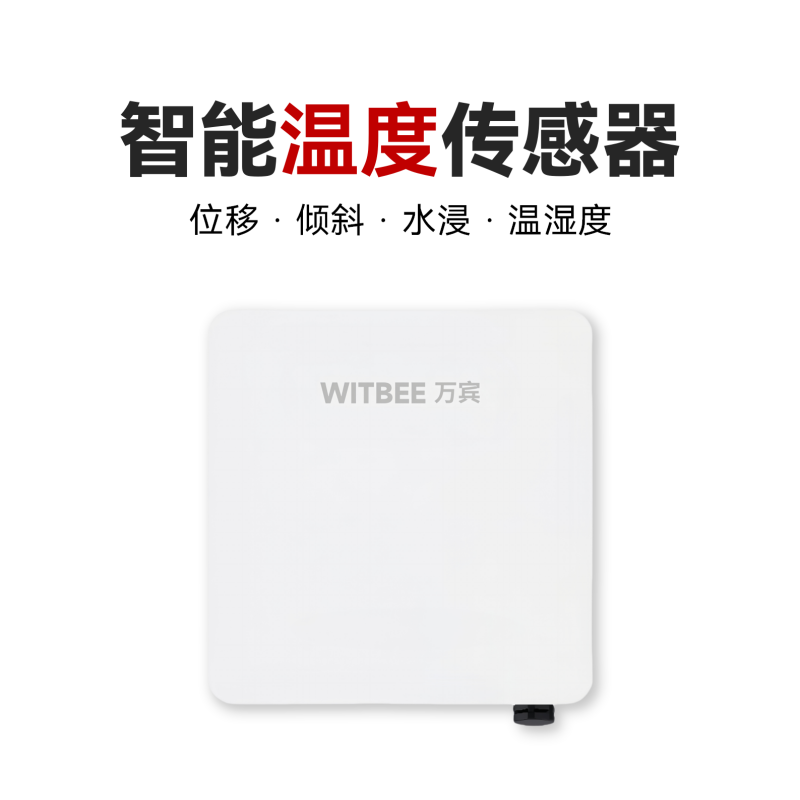 智能溫度傳感器<br>EN100-C-T