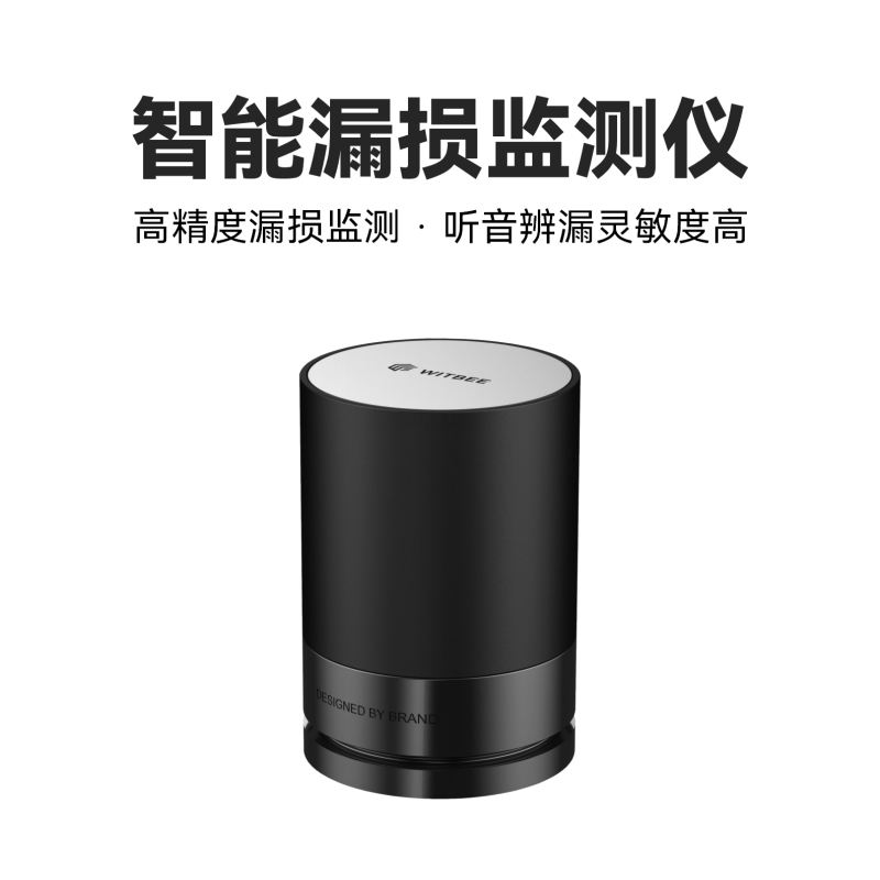 智能漏損監(jiān)測儀<br>EN201-LK
