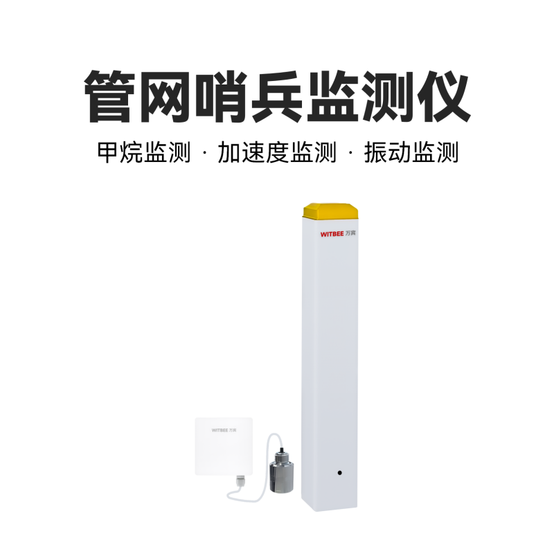 管網(wǎng)哨兵監(jiān)測(cè)儀<br>EN100-C-FG