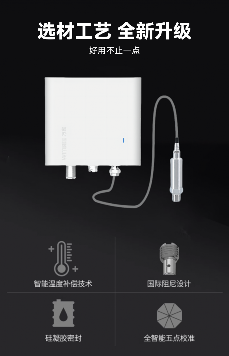 智能水錘監(jiān)測儀 EN401-PWH